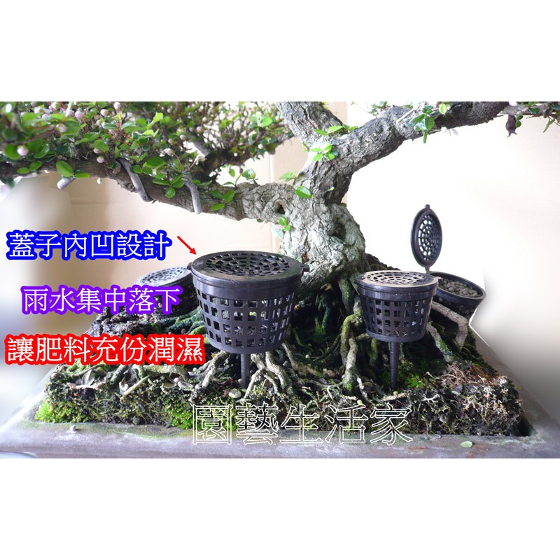 園藝生活家 最新加強型肥料盒 中 4cm 桶型肥料盒多功能肥料盒 顆粒肥玉肥專用 盆栽工具園藝資材 蝦皮購物