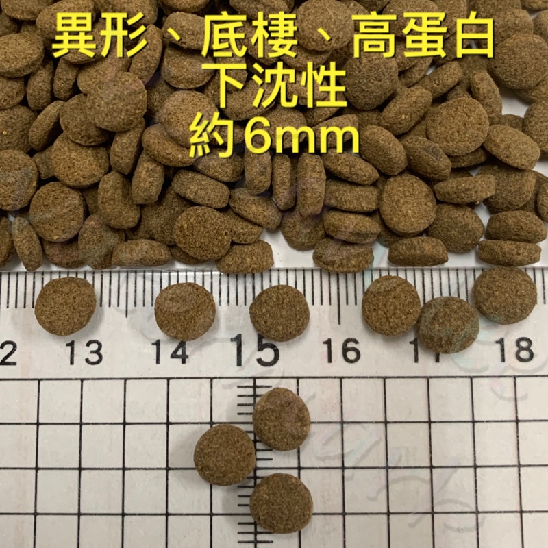 異形、底棲、超高蛋白飼料（沉底飼料、異形魚、鼠魚、蝴蝶龍鯉、肉食性飼料）