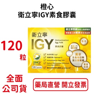 橙心衛立寧IGY素食膠囊(120粒)買大送小(30粒) 免疫球蛋白 乳酸菌 高麗菜濃縮物【元康藥局】