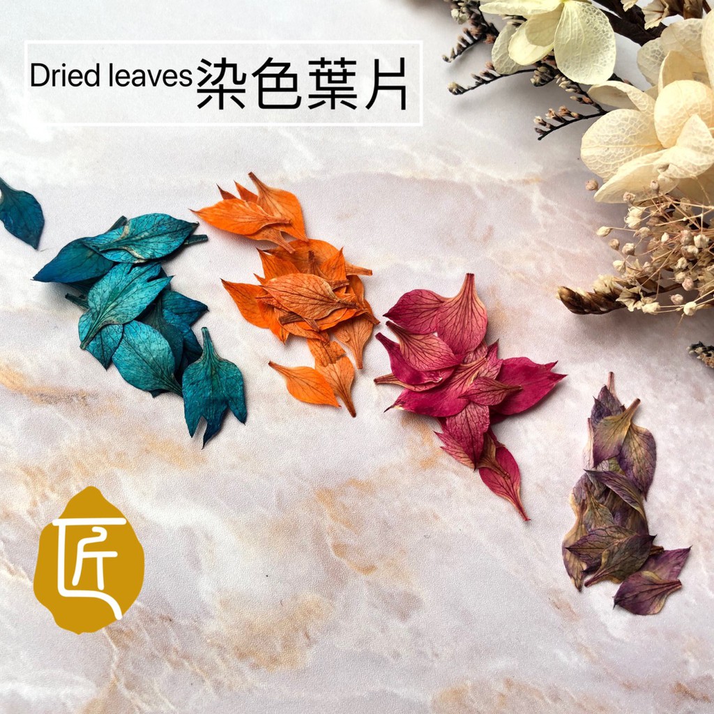 匠 爪飾工藝 染色葉片組合 乾燥花系列 美甲乾花 美甲素材 蝦皮購物