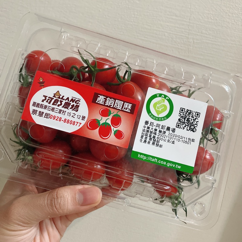 ✨✨✨溫室玉女番茄🍅一吃就愛上-回不去市場小蕃茄～阿郎的開心農場
