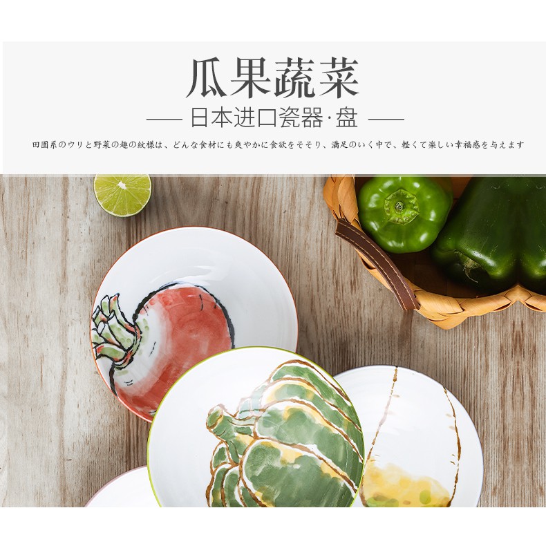 日本進口陶瓷餐具日式深盤蔬菜瓜果盤子碗家用菜盤瓷 蝦皮購物