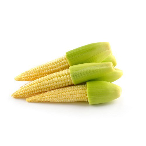 玉米筍種子~Baby Corn