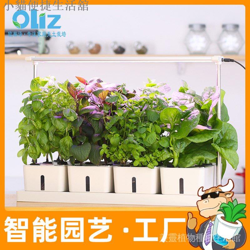 蔬菜水耕的價格推薦第17 頁 21年9月 比價比個夠biggo
