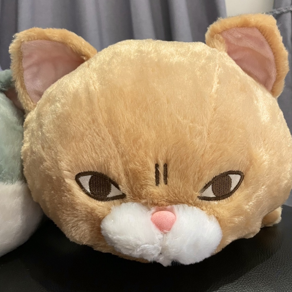 日本 全新 AMUSE 貓咪 條紋 虎斑 橘貓 趴資布偶 大型 娃娃 迪士尼 Disney SEGA 小熊維尼 絨毛