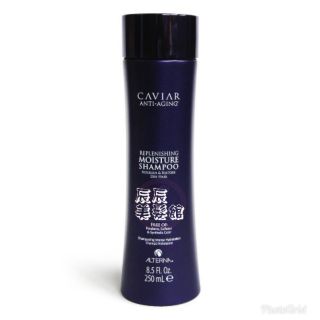 【洗髮精】ALTERNA 歐娜 魚子醬 保濕潤澤洗髮露250ml 保濕柔順專用 全新公司貨