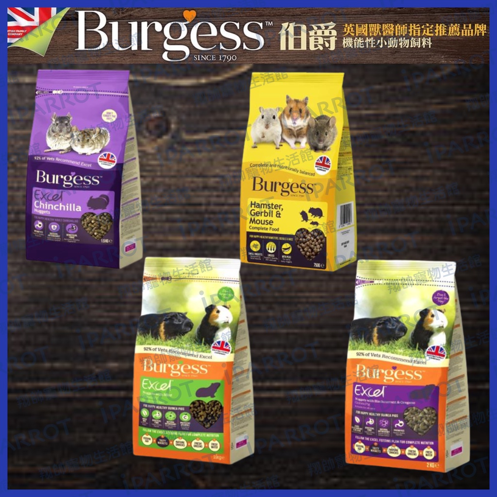 英國伯爵 Burgess | 鼠飼料 | 機能飼料 | 龍貓 |倉鼠|沙鼠|天竺鼠|小鼠|小寵飼料|翔帥寵物生活館