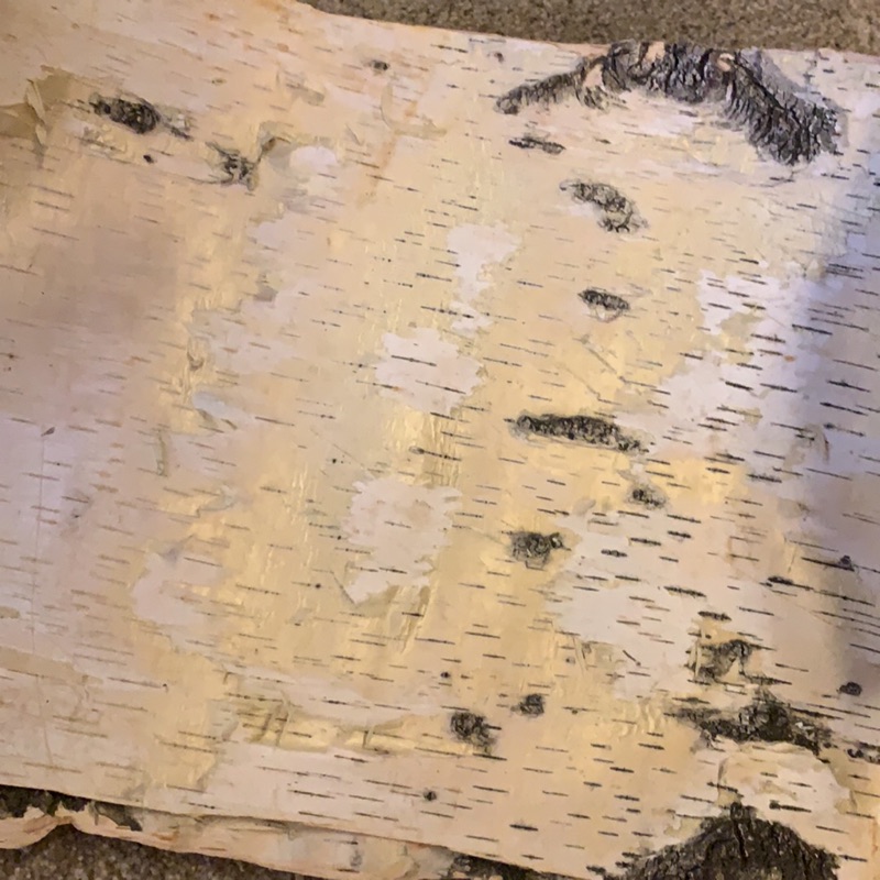 Ch Candle 白樺樹皮kcca 蠟燭裝飾 蝦皮購物