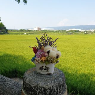 美式可愛小王子多肉花盆創意zakka盆栽卡通微景觀肉肉植物小擺件 乾燥花盆栽 乾燥花 永生花 花藝