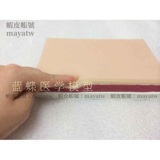 (MD-B_0221)皮膚縫合練習模型 皮膚縫合練習模組 外科縫合 外科手術訓練模型
