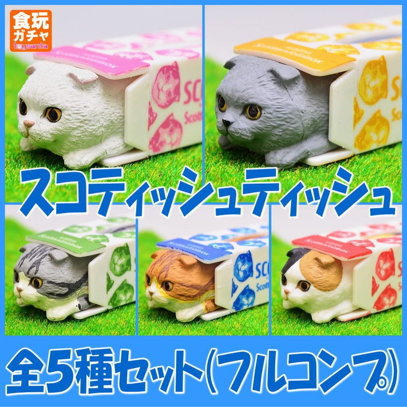 KITAN 奇譚俱樂部 蘇格蘭摺耳貓 &amp; 衛生紙盒 貓咪 扭蛋 轉蛋 疊疊樂 全套5款 整套販售