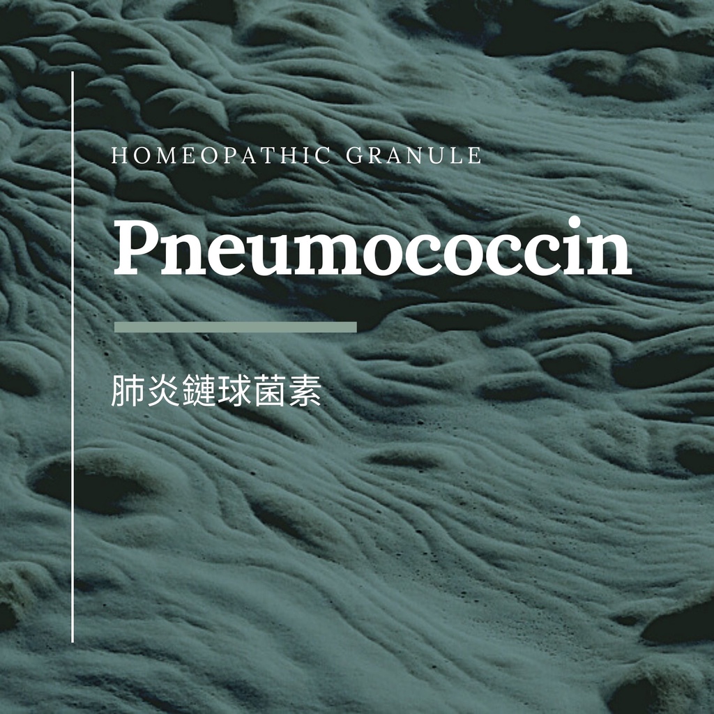 順勢糖球【Pneumococcin】Homeopathic Granule 9克 食在自在心空間