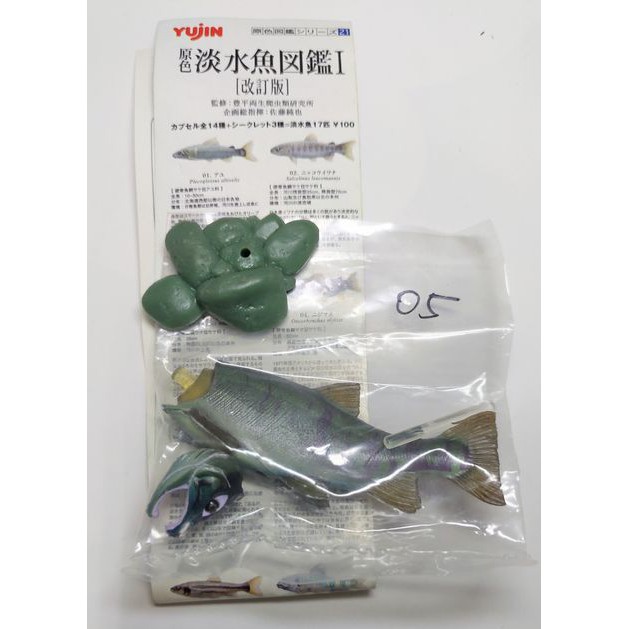Yujin 原色淡水魚圖鑑 1 改訂版 紅鮭