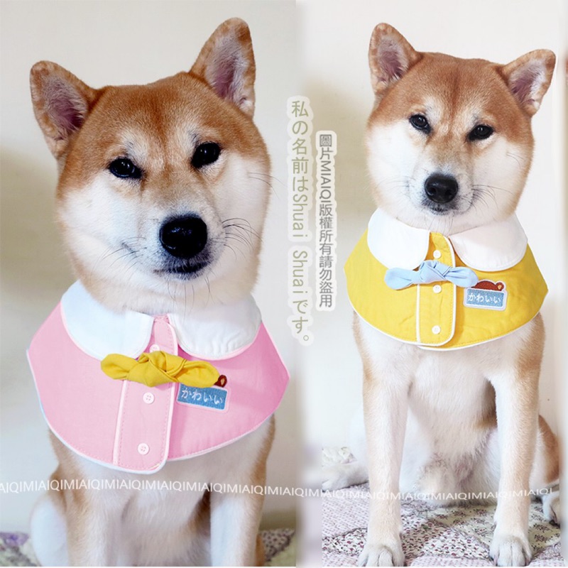 台灣現貨 學院風圓領胸前刺繡幼稚園狗狗圍脖 柴犬圍巾柴犬圍巾狗狗圍巾寵物圍巾寵物披肩 蝦皮購物