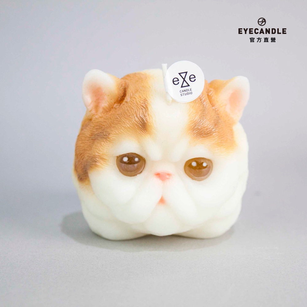 【 EYECANDLE 】波斯貓造型蠟燭（兩款配色）