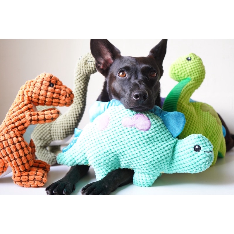 大狗の玩具🦕現貨🇹🇼侏羅紀公園 會叫叫！ 寵物玩具 狗玩具 大狗玩具 黃金獵犬玩具 米克斯 黑狗 狗玩具 狗娃娃