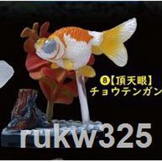 Beam扭蛋金魚立體圖鑒迷你金魚場景蘭壽水泡眼丹頂朱文金出目金 蝦皮購物