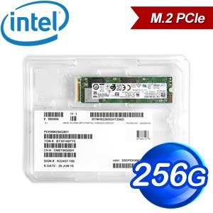 INTEL 660P 256GB SSD M.2 PCIE 2280 NVME 全新原廠5年保固 台北