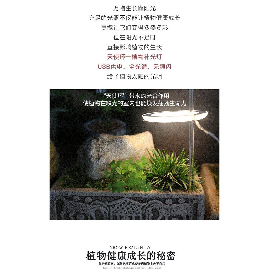 植物燈植物補光燈全光譜仿太陽燈上色室內家用usb食蟲植物多肉補光燈廠家直出實在優惠價 蝦皮購物