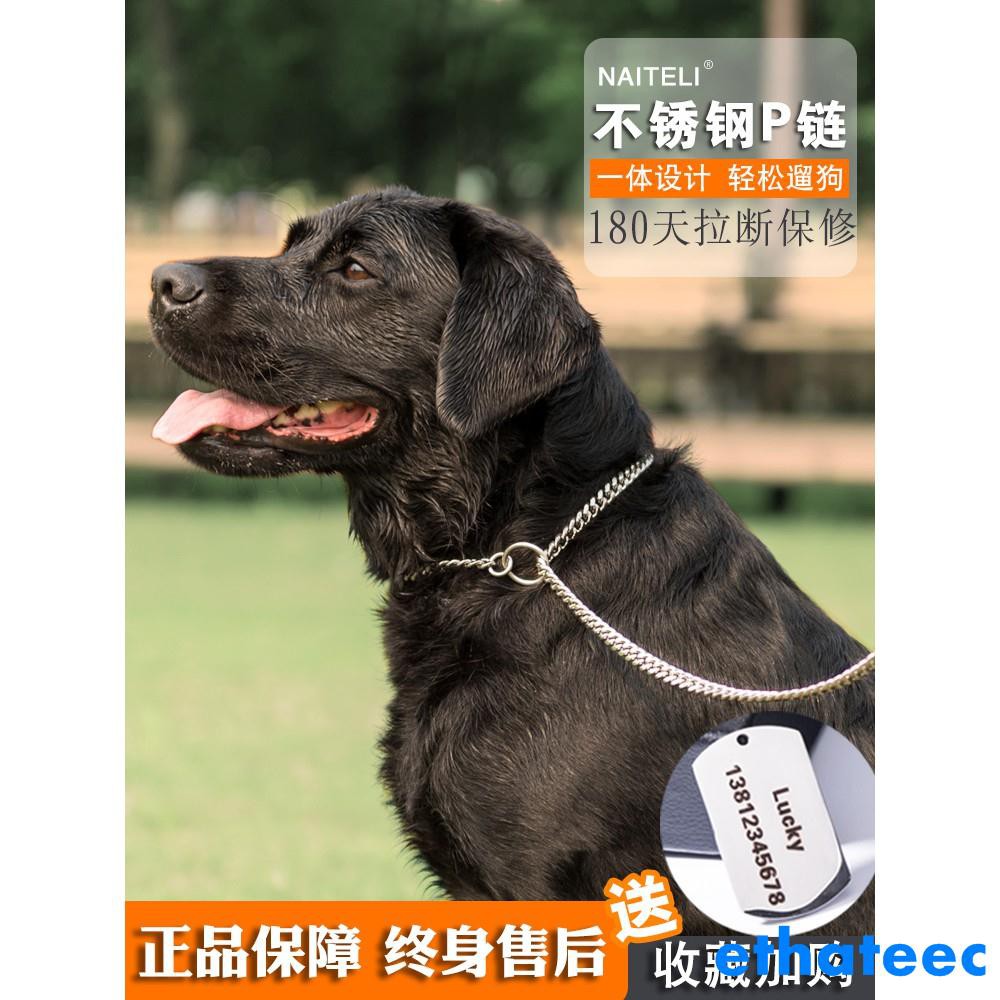 牽引繩項圈狗p字鍊不銹鋼中大型犬拉布拉多訓練遛狗防爆沖寵物牽引繩子項圈 蝦皮購物