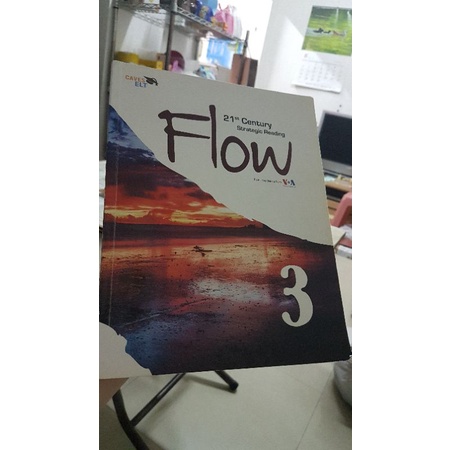 Flow 3 （21st Century strategic Reading
