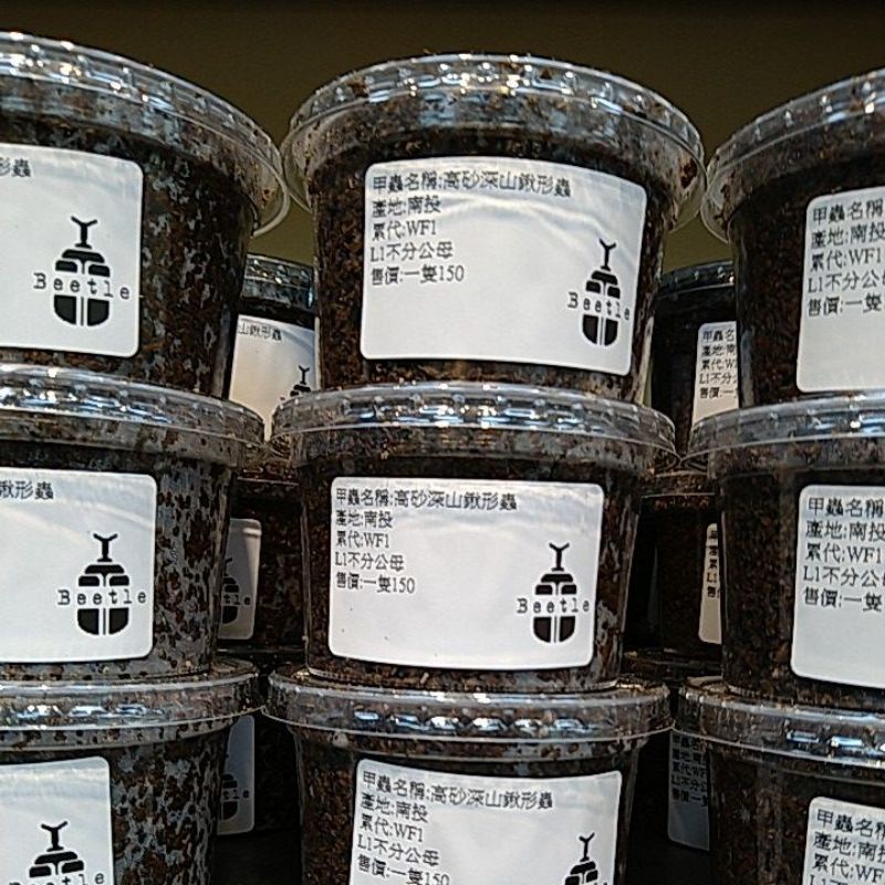 高砂深山鍬形蟲 Ptt Dcard討論與高評價網拍商品 21年9月 飛比價格