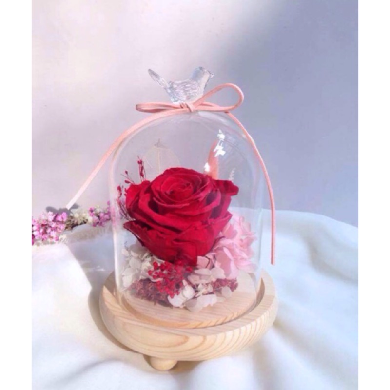 公主城堡瓶中花 永生玫瑰花美女與野獸情人節不凋玫瑰生日禮物 蝦皮購物