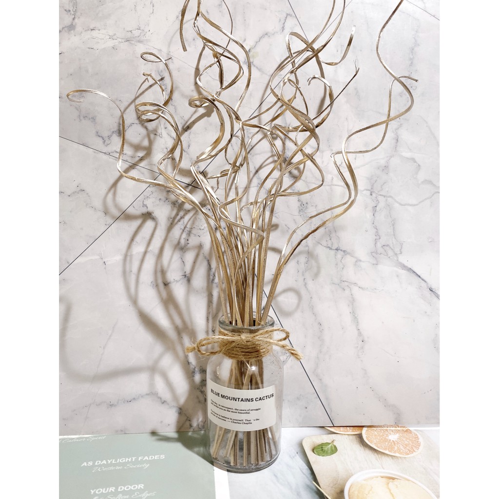 夏 花charice Flora 乾燥花 乾燥花材 手作素材 乾燥花素材 不凋花 永生花 捲丁丁 蝦皮購物