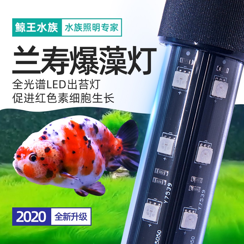 燈殺菌燈紫外線殺菌燈水草燈魚缸燈水族燈潛水燈蘭壽金魚專用魚缸燈led燈防水全光譜超亮爆藻燈出苔潛水燈照明燈
