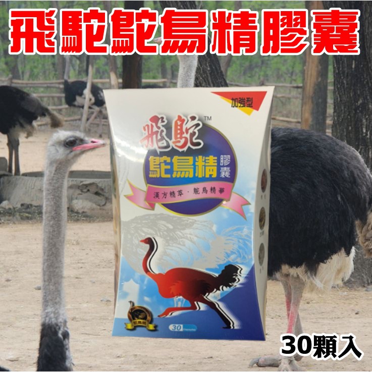 大量現貨【飛鴕-鴕鳥精膠囊30顆入】正公司貨 大量現貨 盒裝 30顆入 鴕鳥精 膠囊 現貨免運  飛駝 鴕鳥