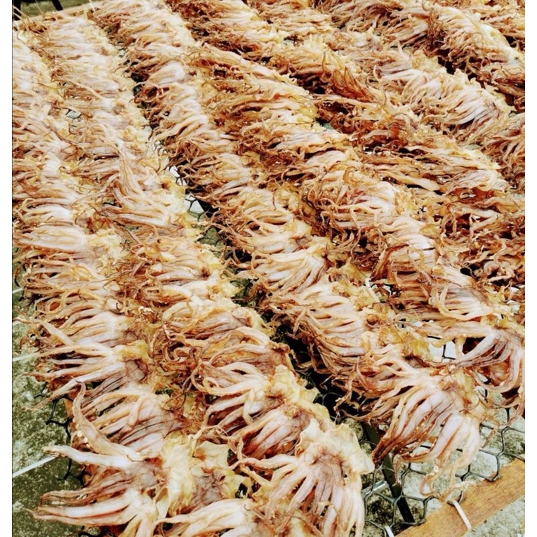 阿根廷乾魷魚頭（30-50克/1份一顆）八分乾～一夜干製會法 乾魷魚頭 阿根廷魷魚乾 日本干貝 魚翅 乾鮑魚 罐頭 禮品