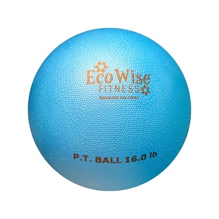 美國【EcoWise】高級重力球/藥球/物理治療球- 16磅(7.2kg)