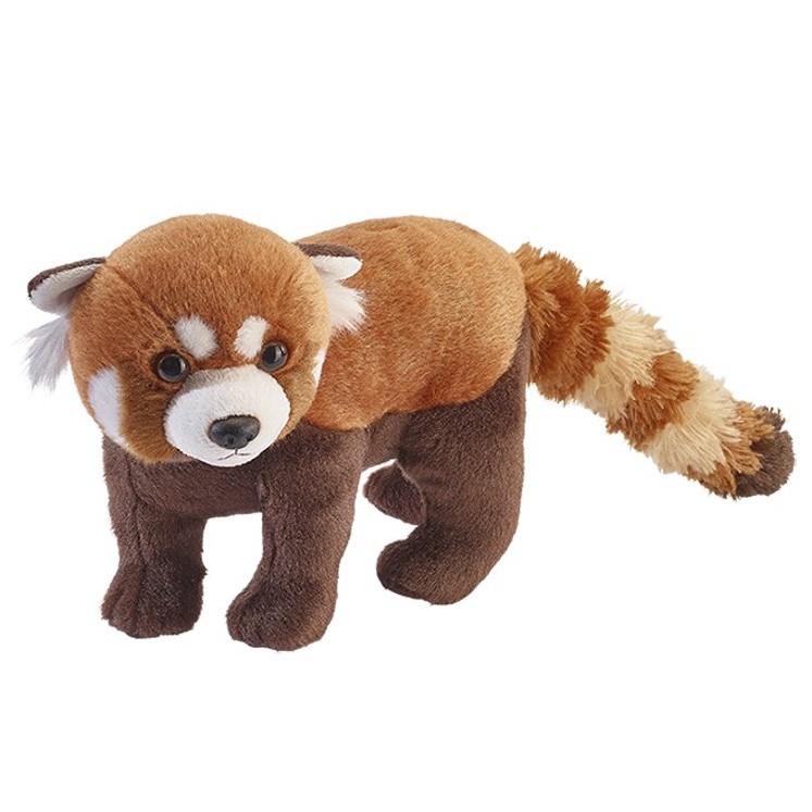 小貓熊 小熊貓 浣熊 玩偶 布偶 絨毛玩具 娃娃 動物 仿真 野生動物 red panda PET JES WORLD