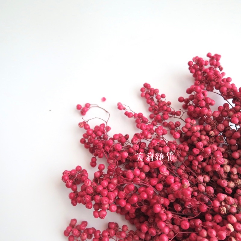 胡椒果乾燥花乾燥花材 賣場滿0才會出貨 不含運費 蝦皮購物