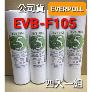 現貨 愛科濾淨 Everpoll 5微米 pp ro RO機 通規 EVB-F105 evb f105 濾芯 濾心