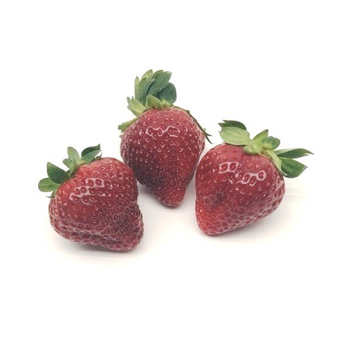 甘王草莓種子~顏色深紅，果實碩大，低酸度