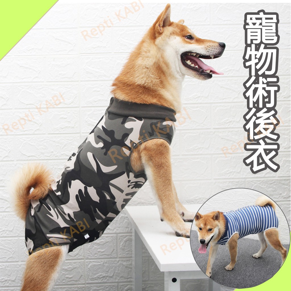 Kabi 寵物術後衣防舔衣節育服結紮服結紮衣狗防舔防脫狗結紮斷奶術後服護理衣手術衣手術服衣服