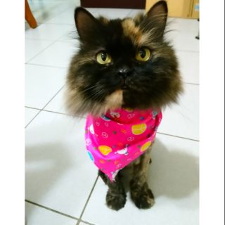 【現貨】貓狗領巾 三角巾 口水巾 貓狗服飾