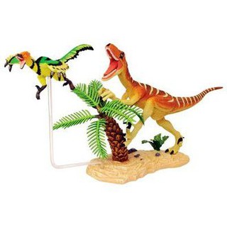 【小瓶子的雜貨小舖】4D MASTER 26801 立體拼組模型恐龍系列-暴龍vs始祖鳥 HUNGRY RAPTOR