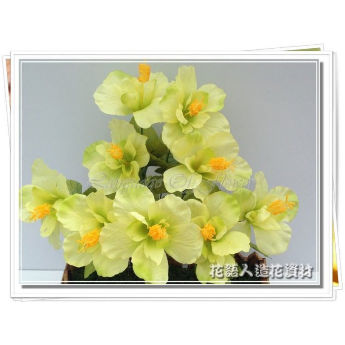 9頭朱槿花束 扶桑花 芙桑花 綠色 請詢問庫存狀況 可改數量 現貨板橋發貨花語人造花資材園藝用品婚禮小物 蝦皮購物