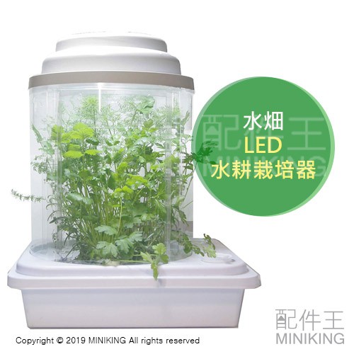 Led水耕的價格推薦第2 頁 21年8月 比價比個夠biggo