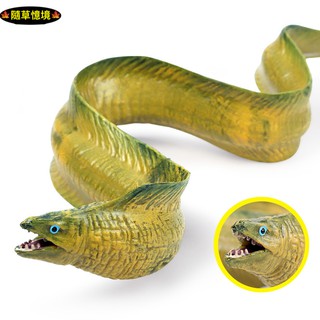 （大號可沉水高品質畫工）鰻魚 電鰻 海鰻 鰻 模擬 動物模型 野生動物 海底動物 兒童玩具 益智 公仔 SPG