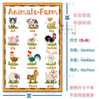 新品预售 幼兒啟蒙教育動物英語單詞思維導圖英文貼紙英語教室主題裝飾墻貼 蝦皮購物