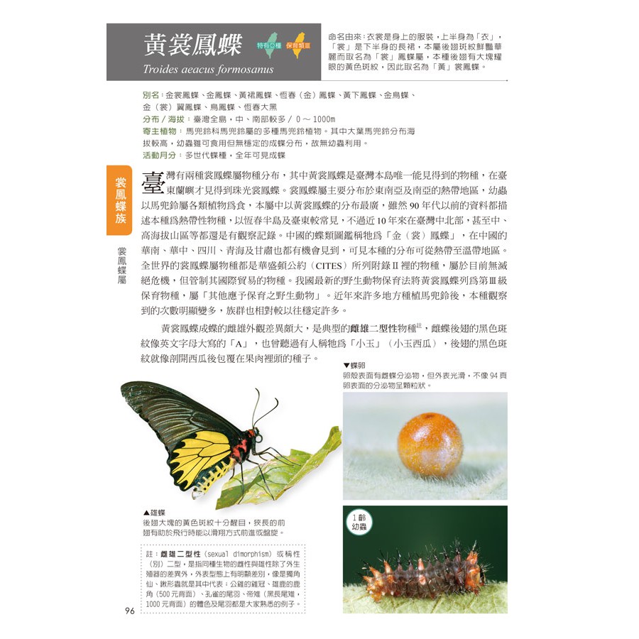 蝴蝶生活史圖鑑 超過260種常見蝴蝶 從卵 幼蟲 蛹 成蟲的每個階段 蝦皮購物
