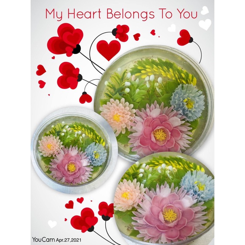 8吋天然蒟蒻 果凍花 蝦皮購物