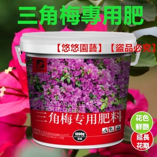 三角梅臘梅盆栽肥料 優惠推薦 22年10月 蝦皮購物台灣
