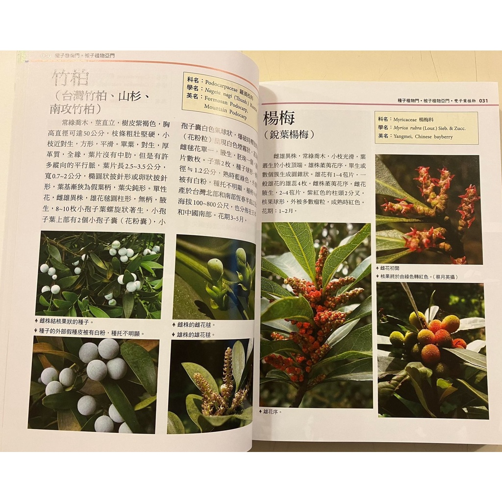新細說台灣原生植物native Plants Taiwan 蝦皮購物