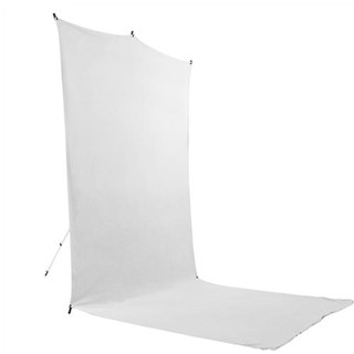 SAVAGE 野蠻人 BT01512-KIT 白色 背景布 5x12英尺 行動攝影棚 附腳架 相機專家 開年公司貨