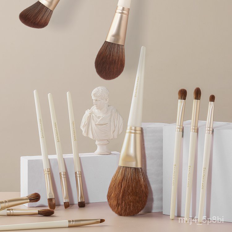 受受狼刷具組 Ptt Dcard討論與高評價網拍商品 2021年11月 飛比價格