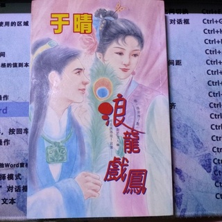 二手書籍。愛情小說。